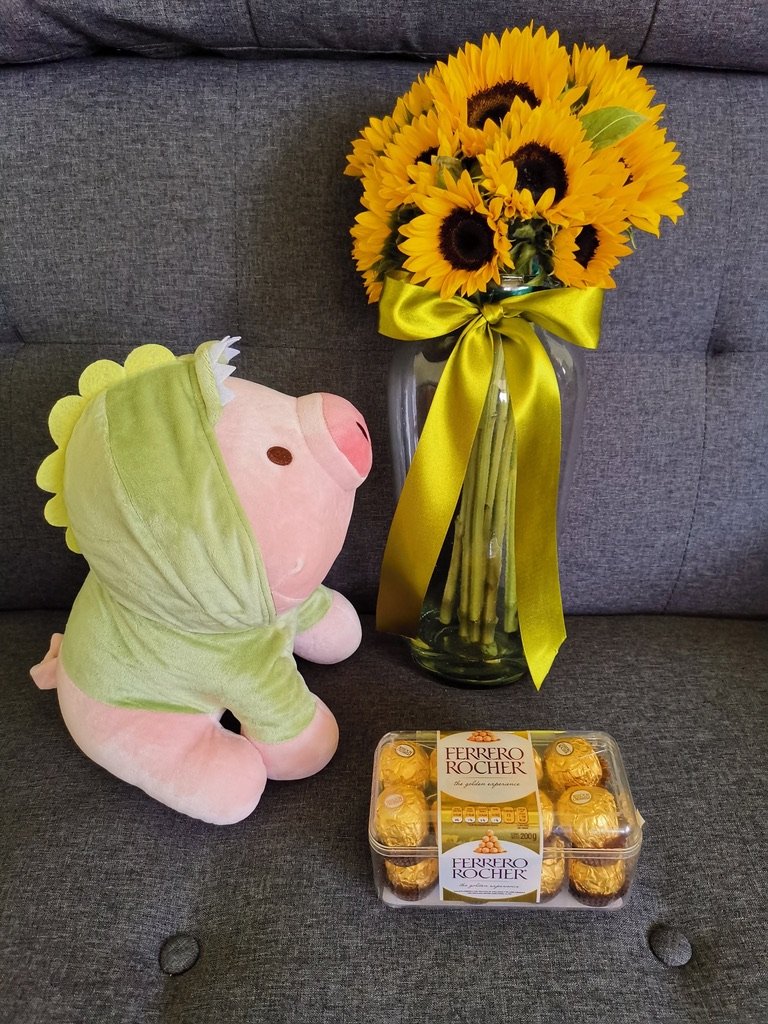 Peluches y Chocolates